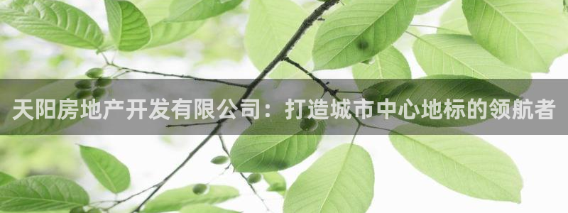 万向娱乐技术