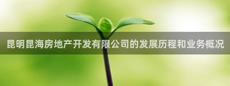万向娱乐官网下载安装