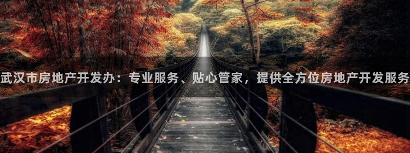 万向娱乐代理好看视频