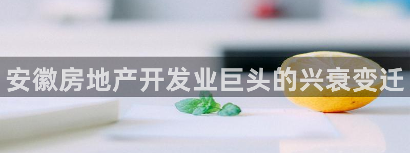 万向娱乐app