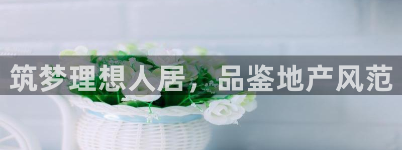 万向娱乐是哪个旗下