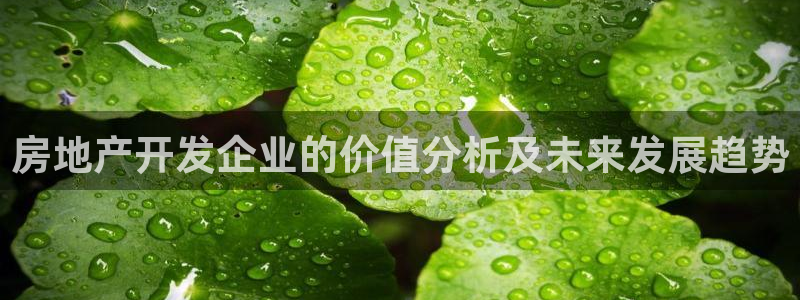 万向娱乐注册资金多少亿
