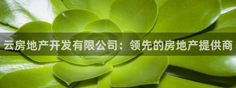 万向娱乐官网下载安装