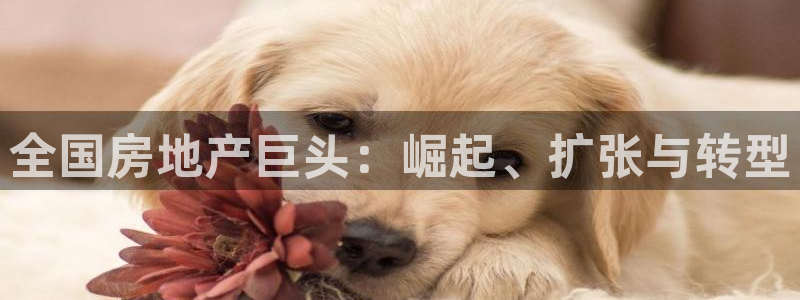 万向娱乐app下载官网