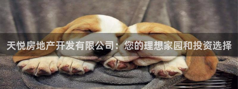 万向娱乐app下载安装