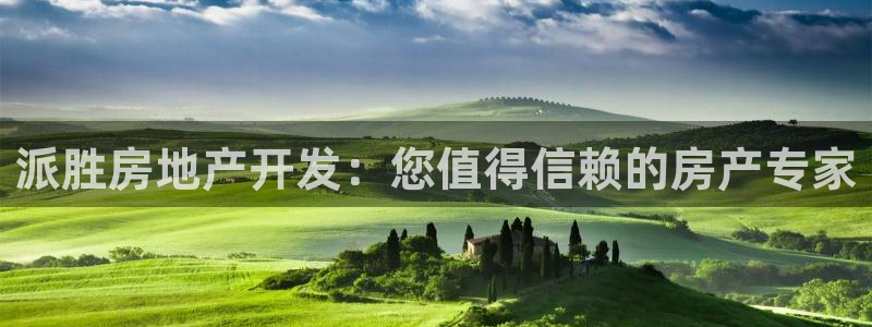 万向娱乐的494o3 主管