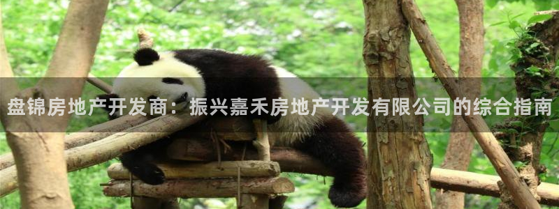 万向娱乐app下载安装