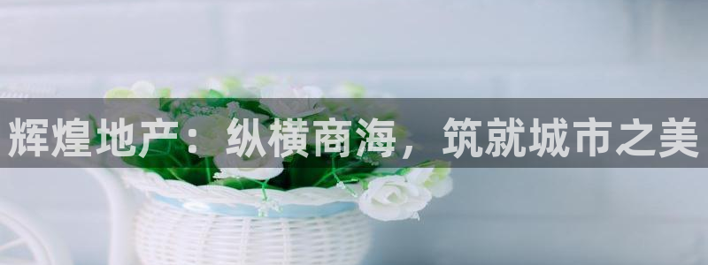 万向娱乐灯333OO