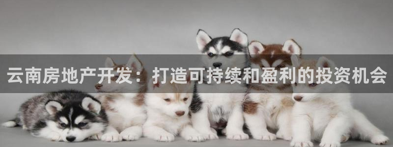 万向娱乐平台注册流程图