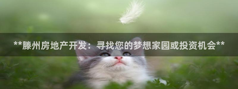 万向娱乐平台代理
