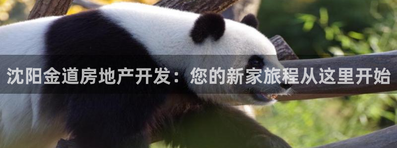 万向娱乐王者荣耀