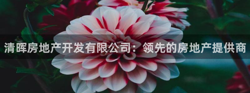万向娱乐平台代理怎么样