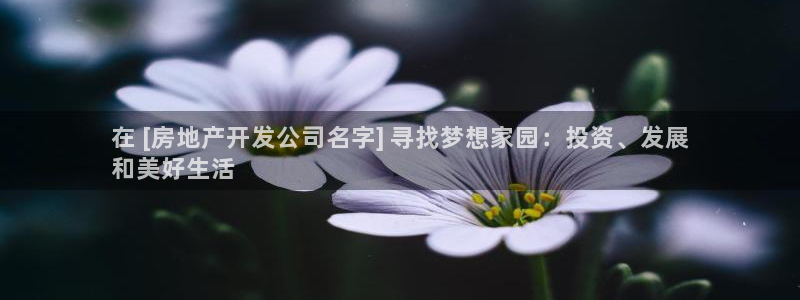 万向娱乐官网网址是什么