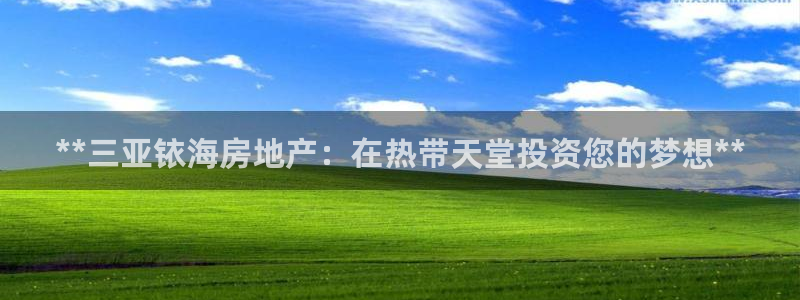 万向娱乐公司 585.34I 娱乐