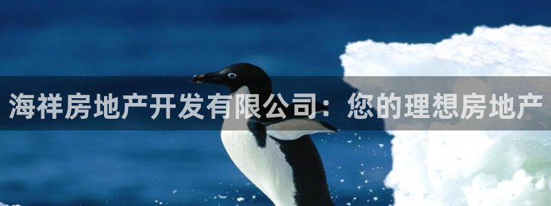 万向娱乐网址是什么