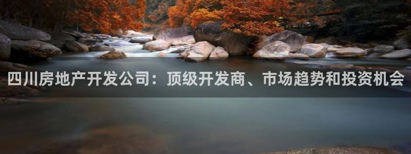 万向娱乐公司 585.34I 娱乐