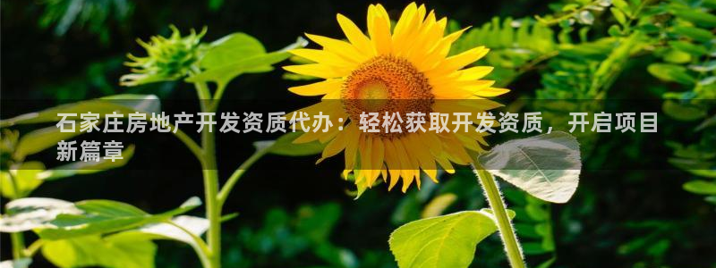 万向娱乐平台代理怎么做赚钱