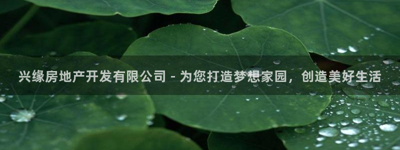 万向娱乐平台下载安装