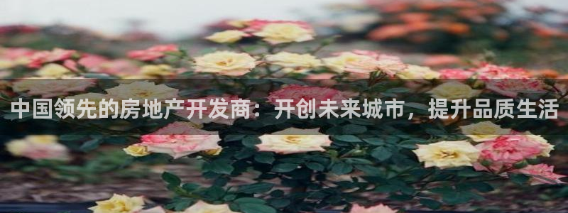 万向娱乐app下载安装