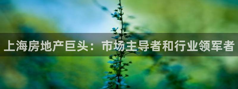 万向娱乐平台代理多少钱一个