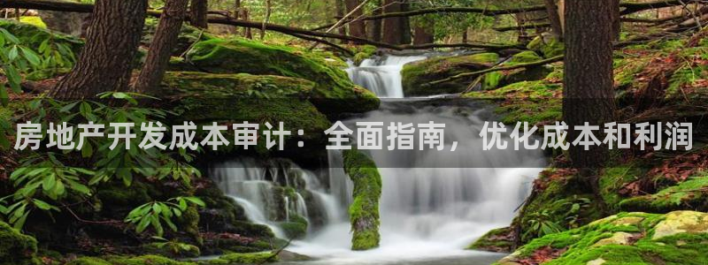 万向娱乐老板