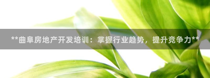 万向娱乐官网下载安卓