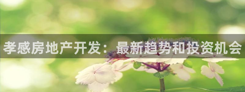 万向娱乐app