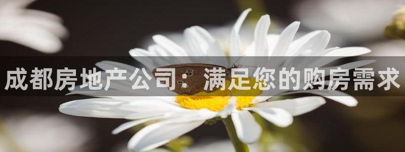 万向娱乐平台代理怎么样