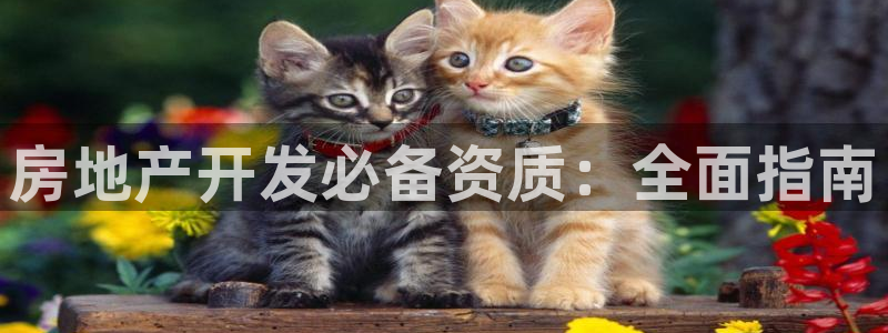 万向娱乐平台代理多少钱一年