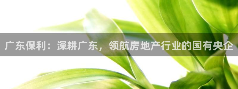万向娱乐代理好看视频