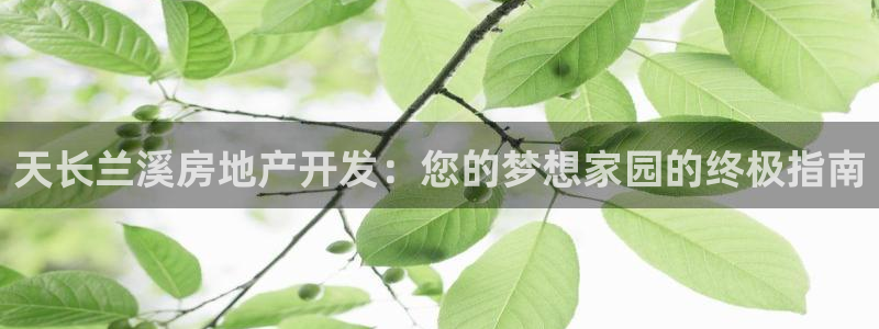 万向娱乐挂机软件