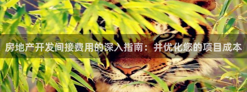万向娱乐官网网址