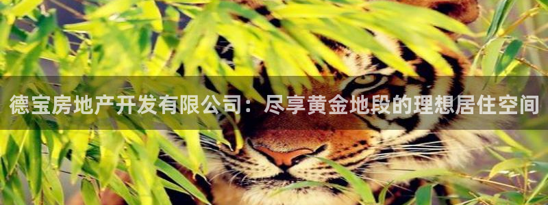 万向娱乐代理好看视频