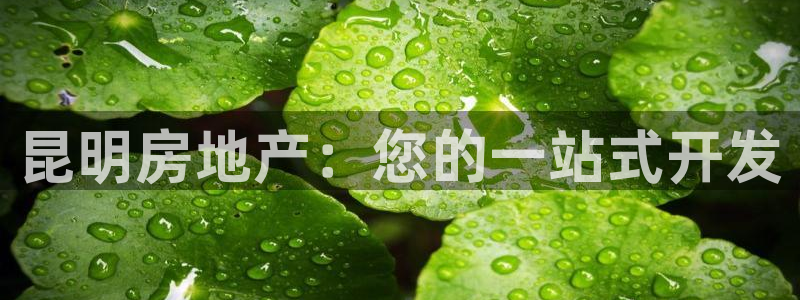 万向娱乐app下载
