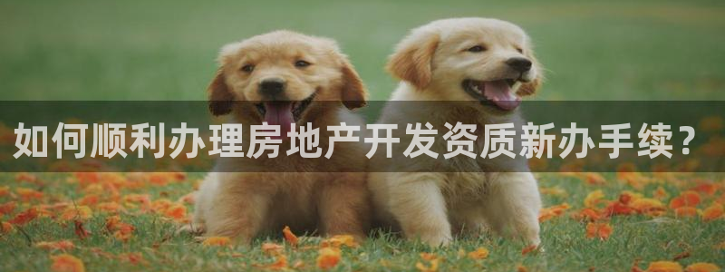 万向娱乐平台代理多少钱