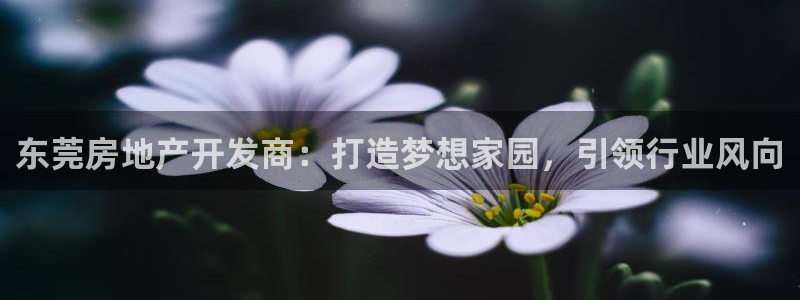 万向娱乐登陆官网入口