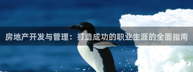 万向娱乐是野鸡台吗
