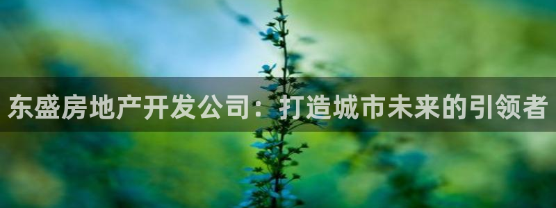 万向娱乐官网网址