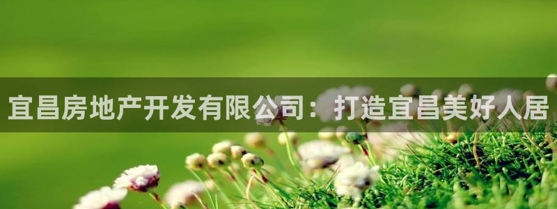 万向娱乐平台代理多少钱一年