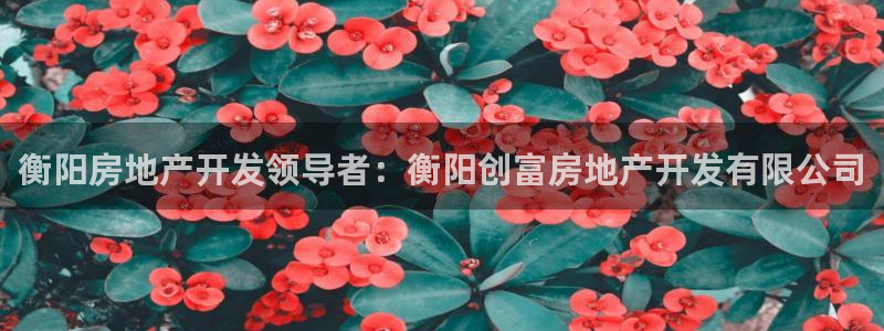 万象国际娱乐网址