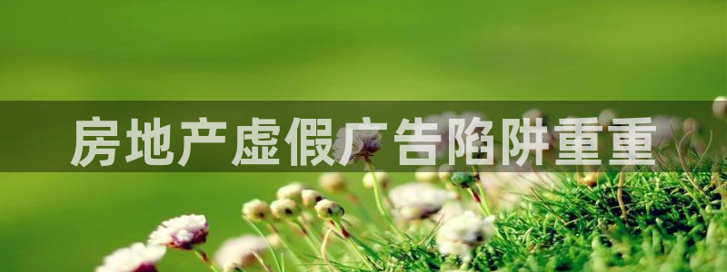 万向娱乐技术