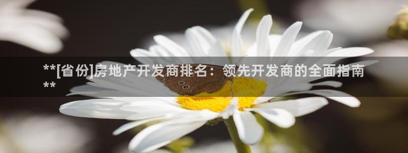 万向娱乐官网