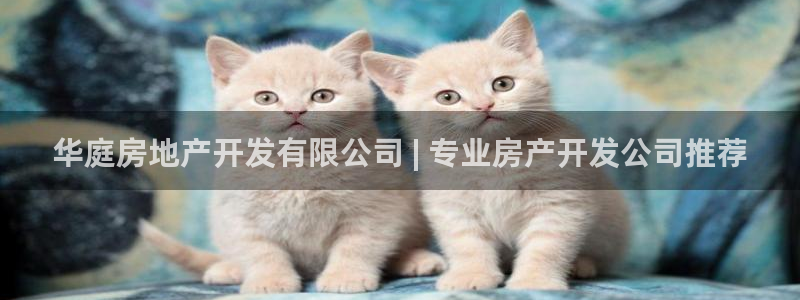 万向娱乐登陆