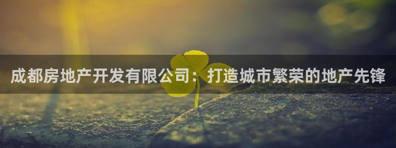 万向娱乐挂机