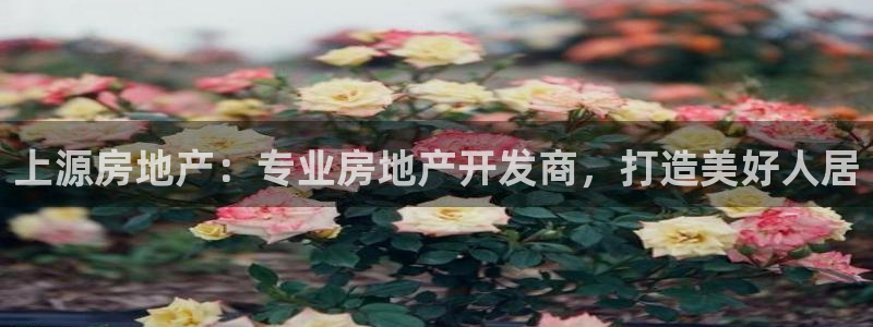 万象国际娱乐网址
