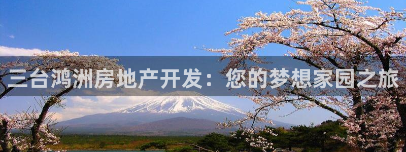 万向娱乐挂机软件