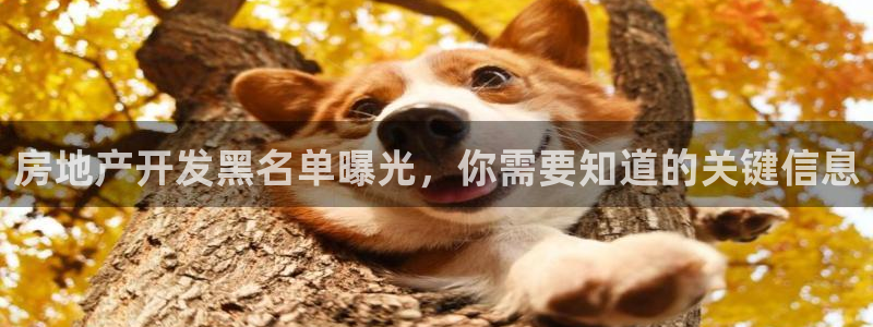 万向娱乐登陆官网入口