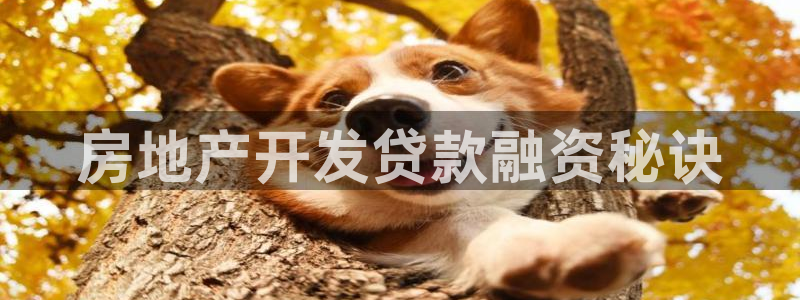 万向娱乐注册登录不上