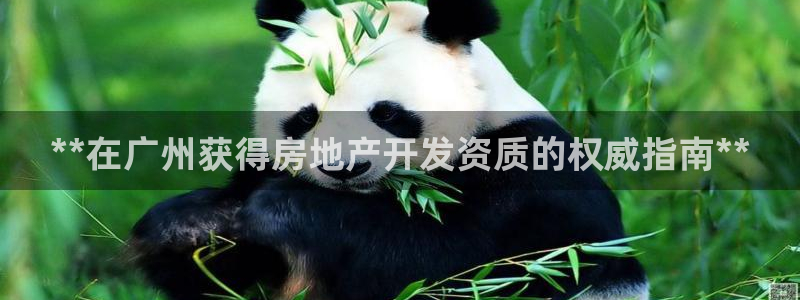 万向娱乐总代